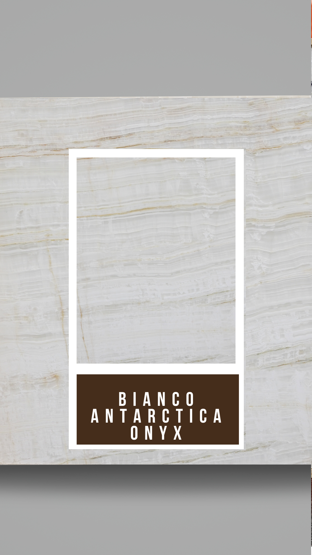 Bianco Antarctica Onyx